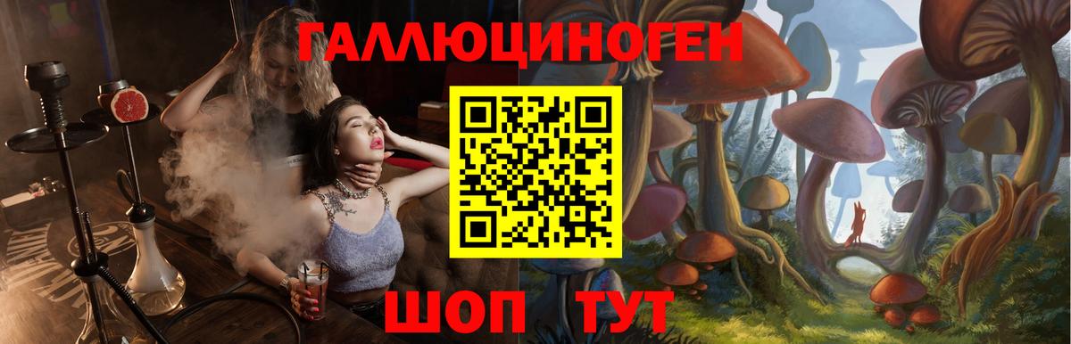 Галлюциногенные грибы Psilocybe  Вход с VPN  сколько стоит  Псилоцибиновые грибы GOLDEN TEACHER  Сунжа 