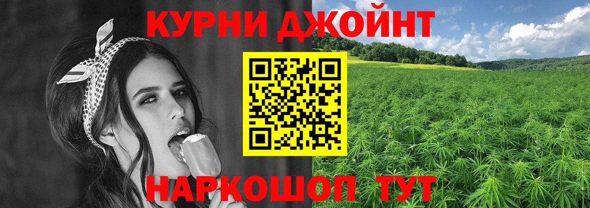 Канабис план  Каннабис индика  Бошки Шишки семена  Сунжа  Вход с VPN 